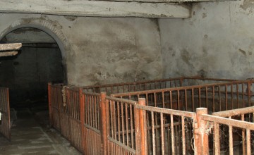 Coloniche e rustici - JKM-1113