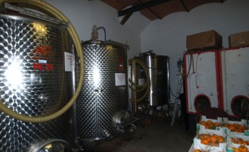 Aziende agricole e vitivinicole - JKM-1009