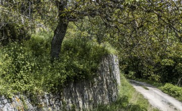 Ville e proprietà di prestigio - JKM-1121